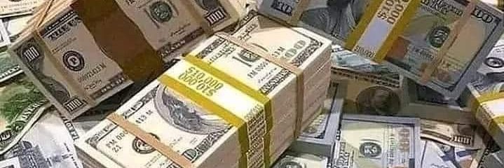 leandro fernandes banner