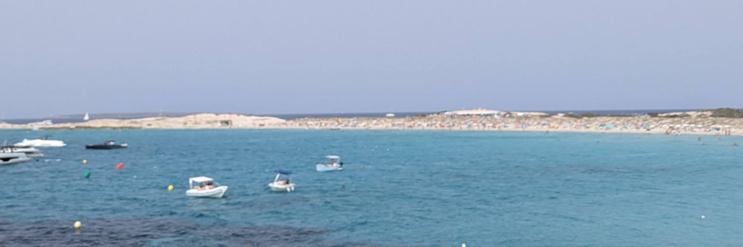 piniesa's profile banner image