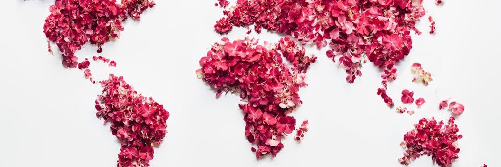 ThMorgane's profile banner image
