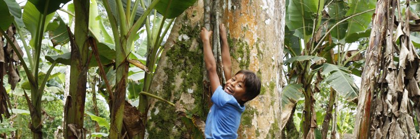 Aurore Chaillou banner