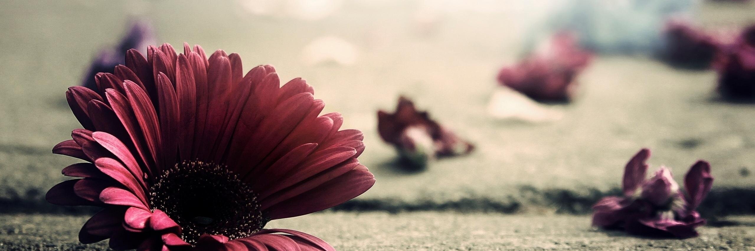 lyaa_a's profile banner image