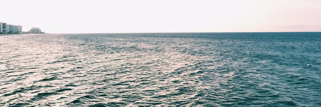 erinpurchase's profile banner image