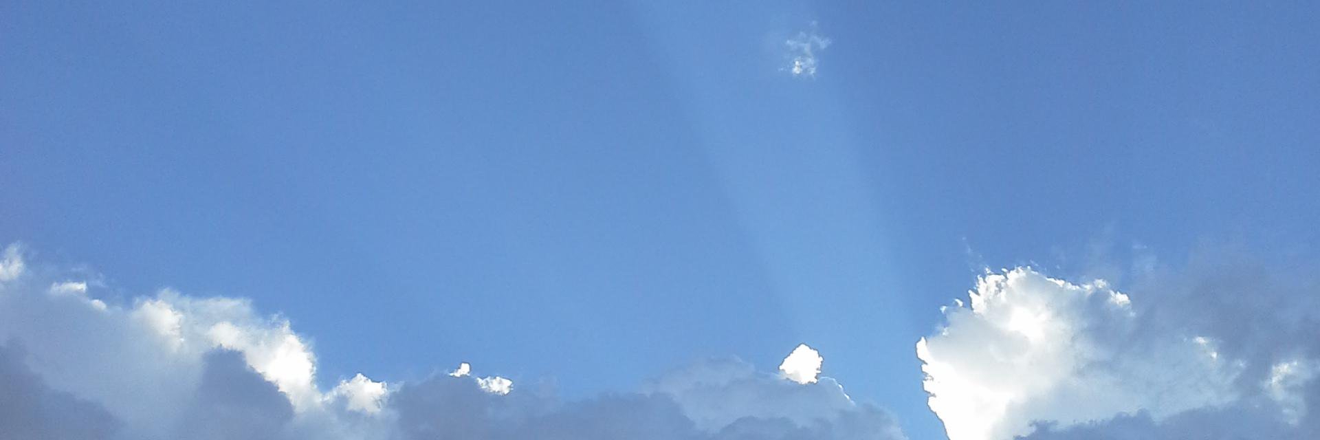 IrrevLyn is actually a Zombie. Black Lives Matter. banner