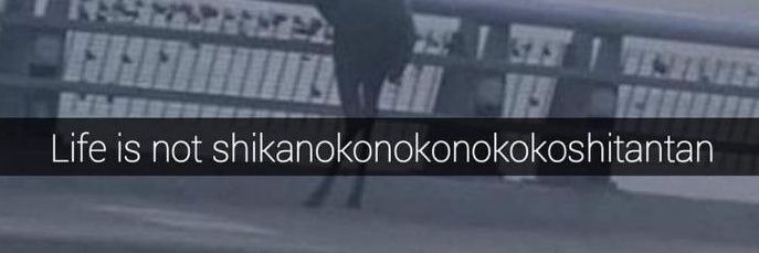 พี่แมว Ver.ติดนิยาย banner