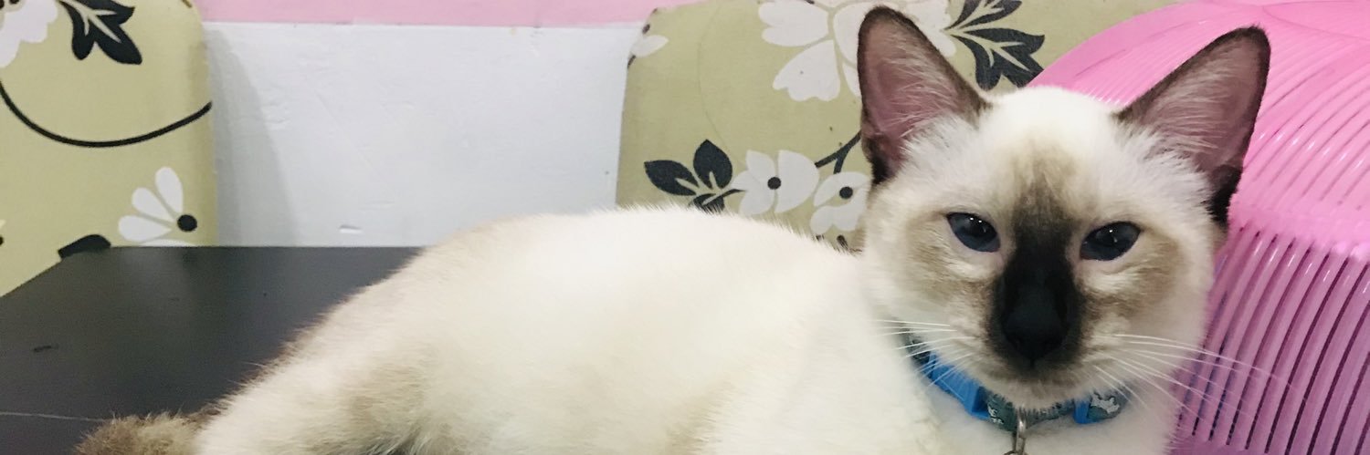 Jhellybells's profile banner image