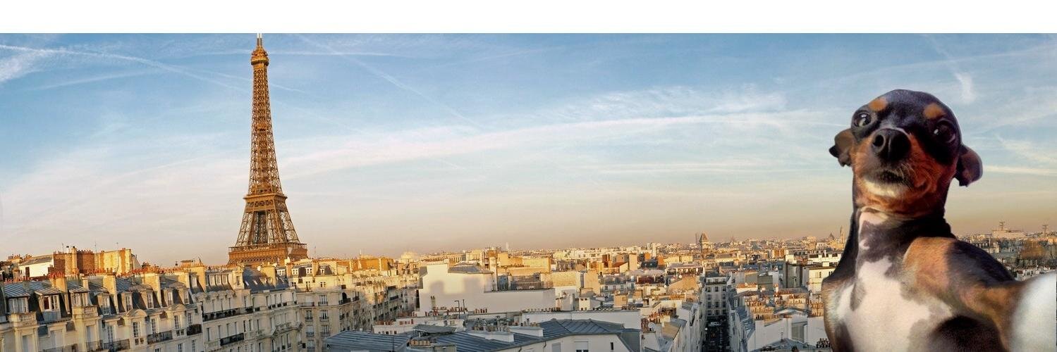 jucarezz's profile banner image