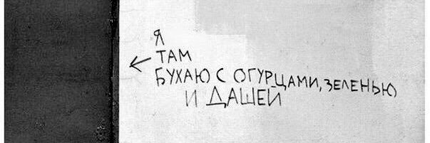 синица banner