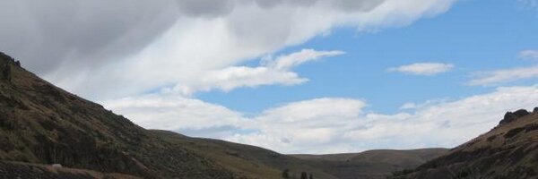 wlnsvey Profile Banner