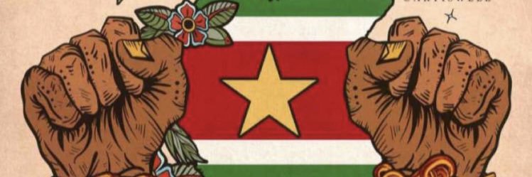 Dutchie Fyz banner