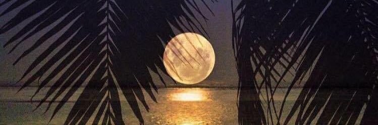 PPDJoeSerrano's profile banner image