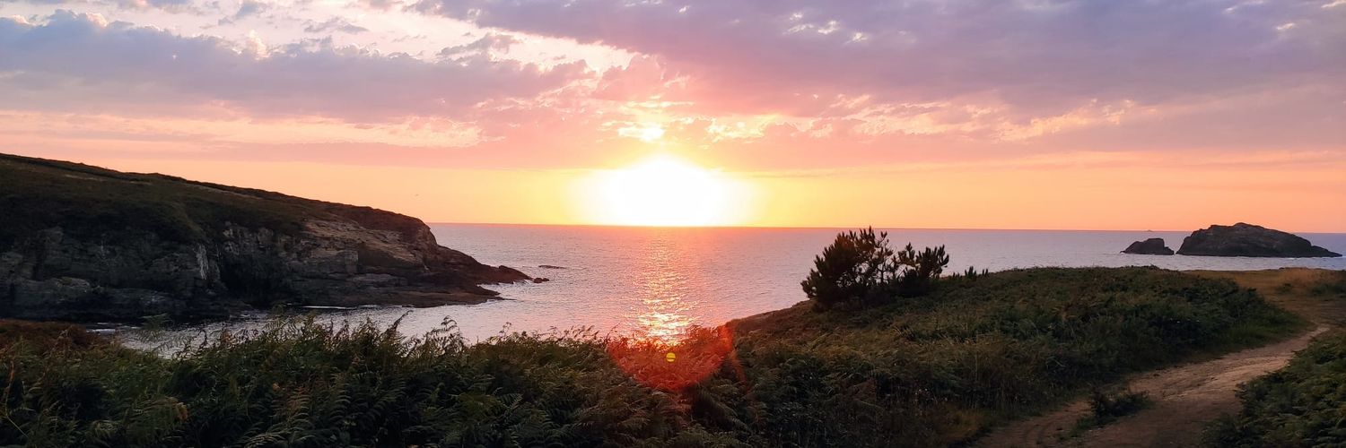 Anita 🌻 banner