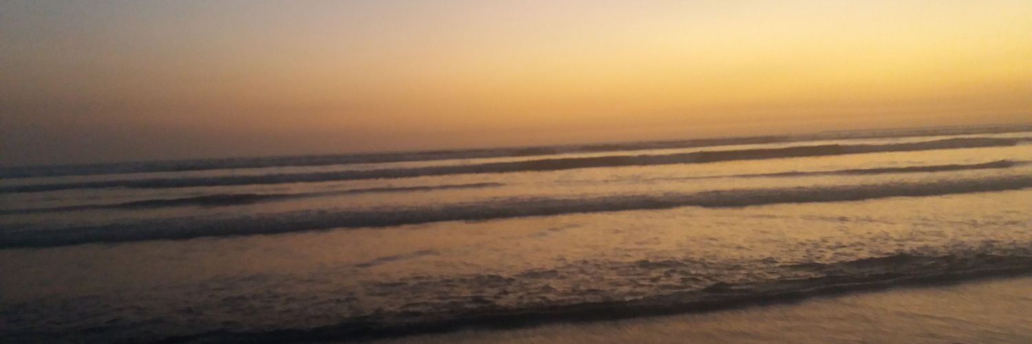 sehrishalam16's profile banner image