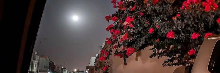 the_faisall's profile banner image