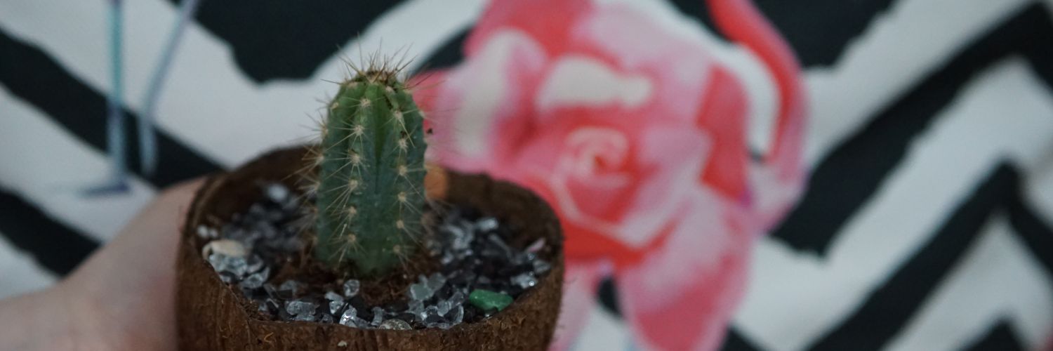 gokneees's profile banner image