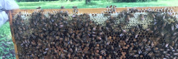 jhammond Profile Banner