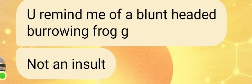 Matty Corbett banner