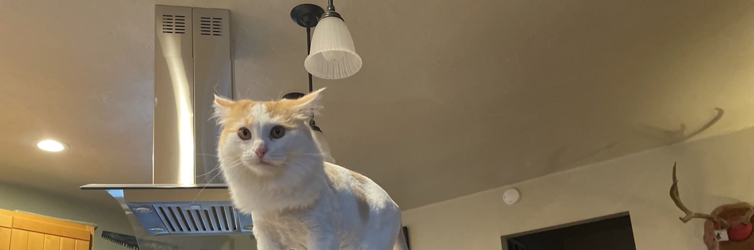 tomheinbaugh's profile banner image