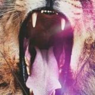 meyday_'s profile banner image