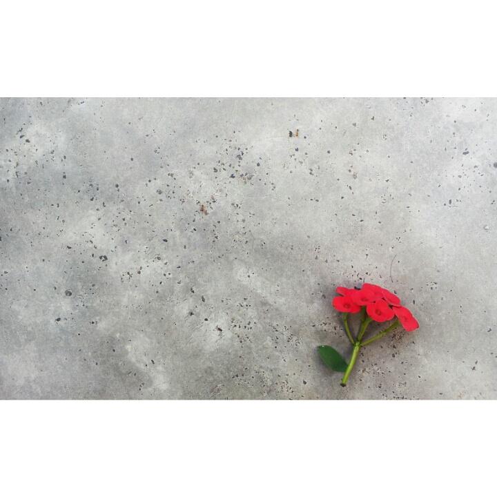 widhyasti's profile banner image