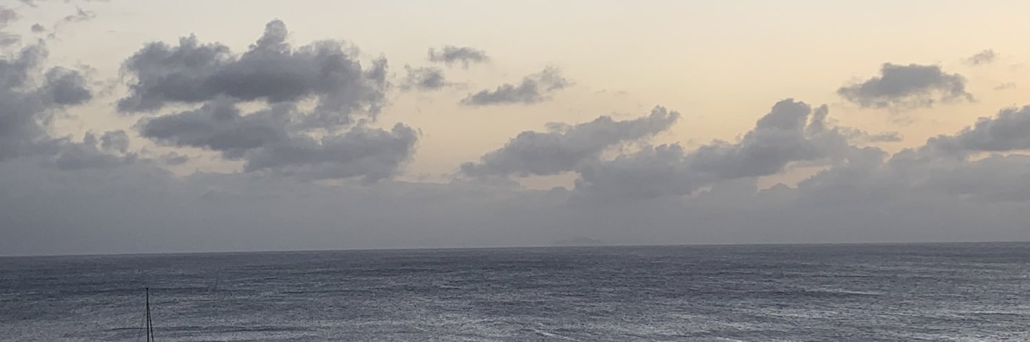 lisvetteflores's profile banner image