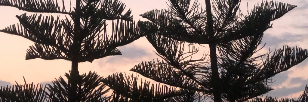 elifulucc's profile banner image
