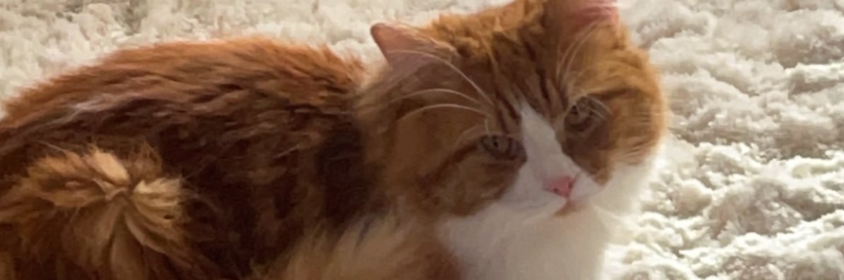 cherylsmithh94's profile banner image