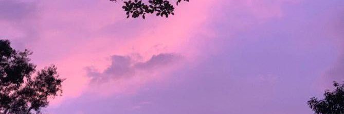 ratnajunitap's profile banner image