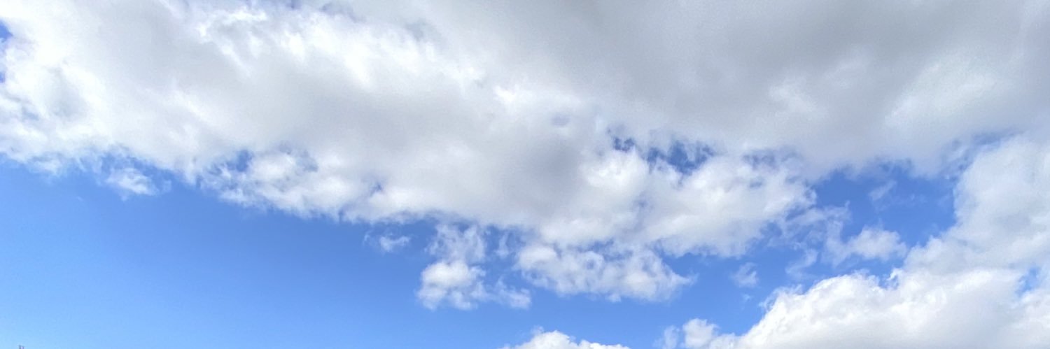 meltemsurdem's profile banner image