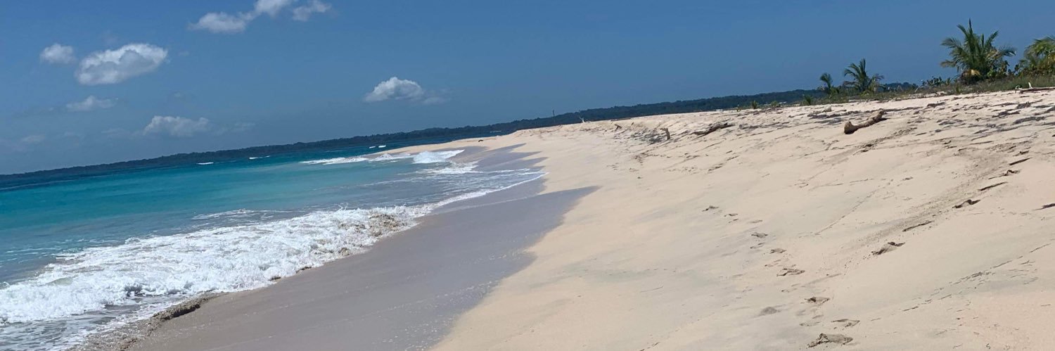 Alexander Gay banner