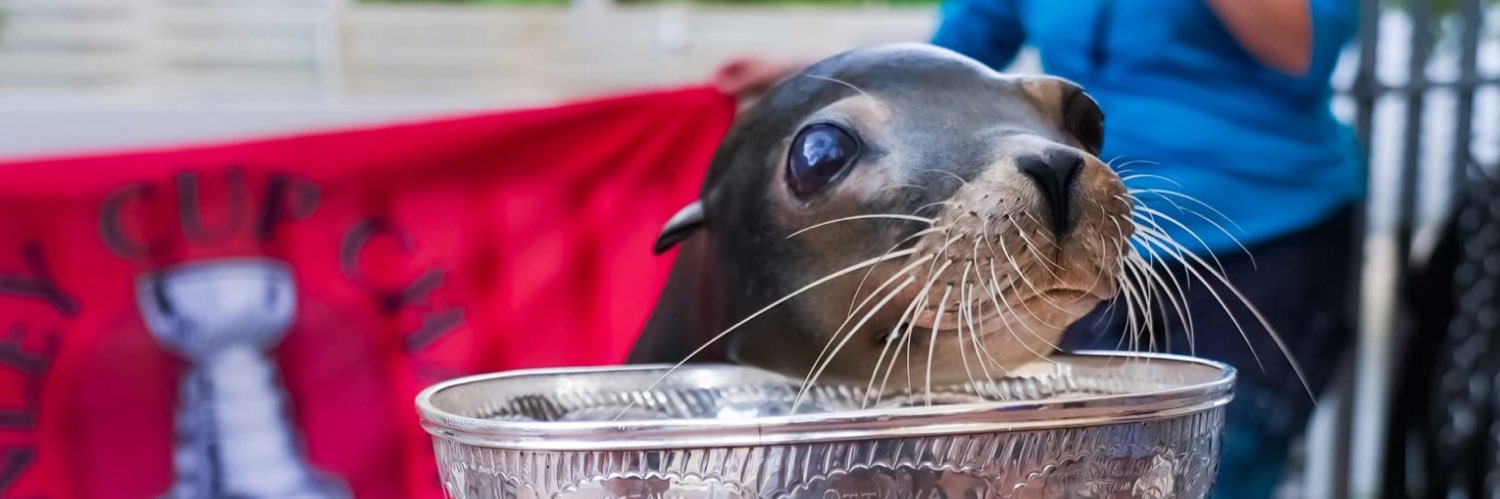 Miami Native 🇺🇸 banner