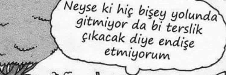 aysetandrcoglu's profile banner image