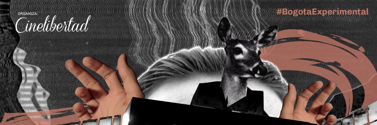 cinelibertad's profile banner image