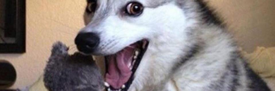 theswickler's profile banner image