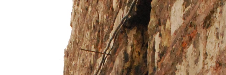 Patrick Mullins's banner