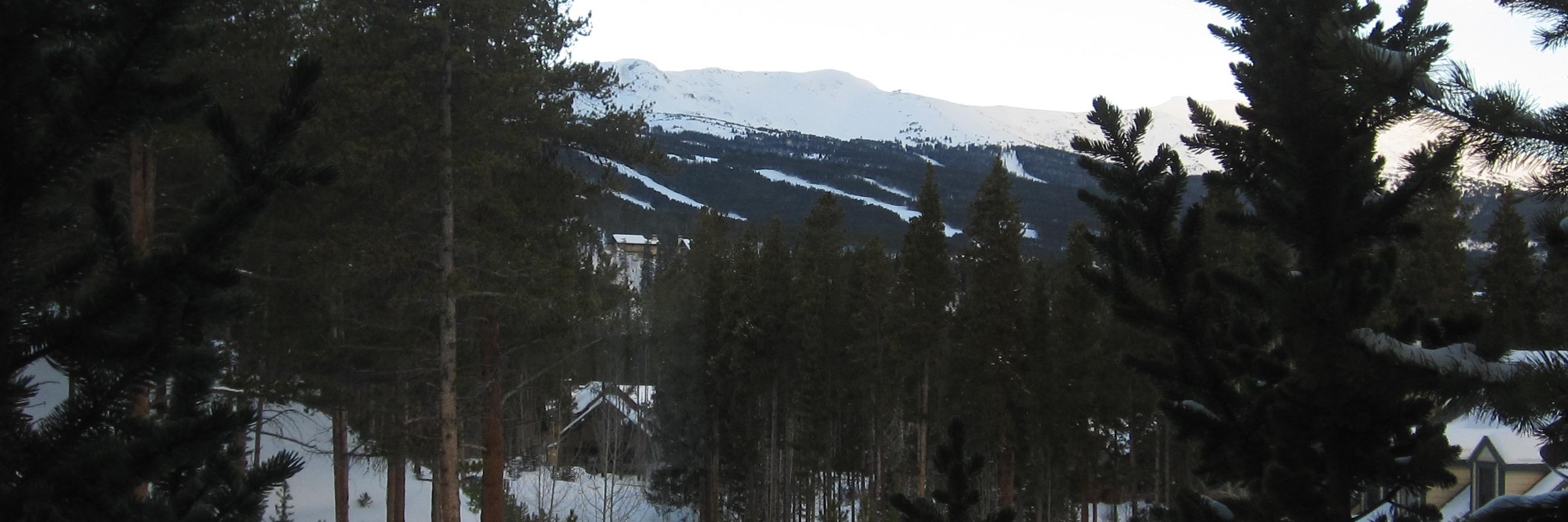 ofsteinl's profile banner image