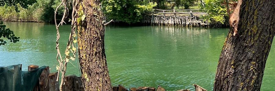 ابوريان banner