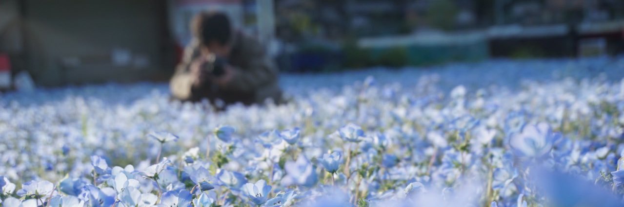 terekyasu's profile banner image