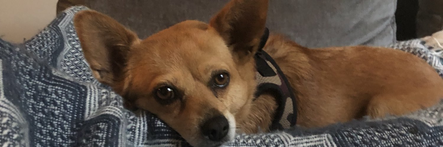 Marisol Orihuela banner