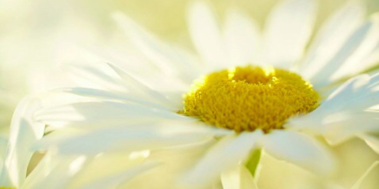 Blancu9's profile banner image