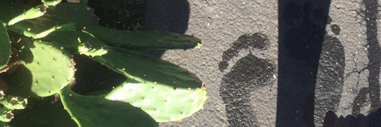 Christine🪐 banner