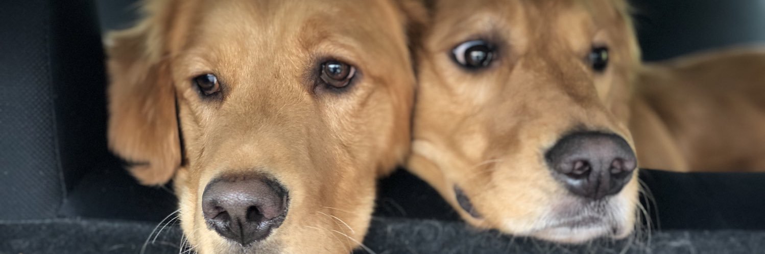 MartyEPhil's profile banner image