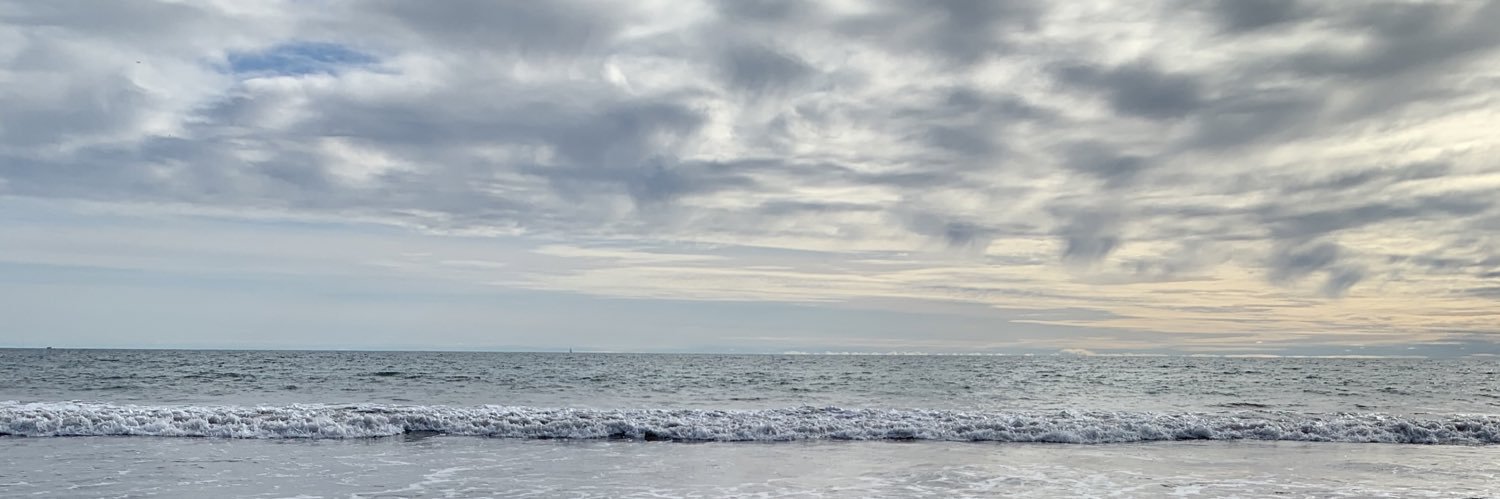 JanelleConnor's profile banner image