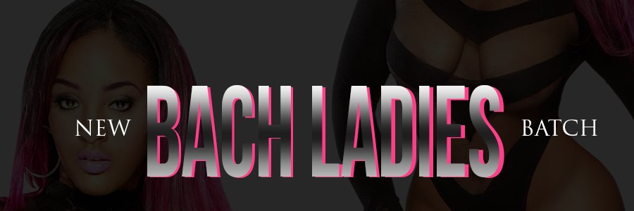 The Bachelor Project banner