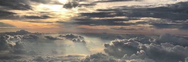 loyaljdb's profile banner image