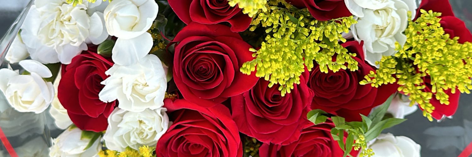___Thelma's profile banner image