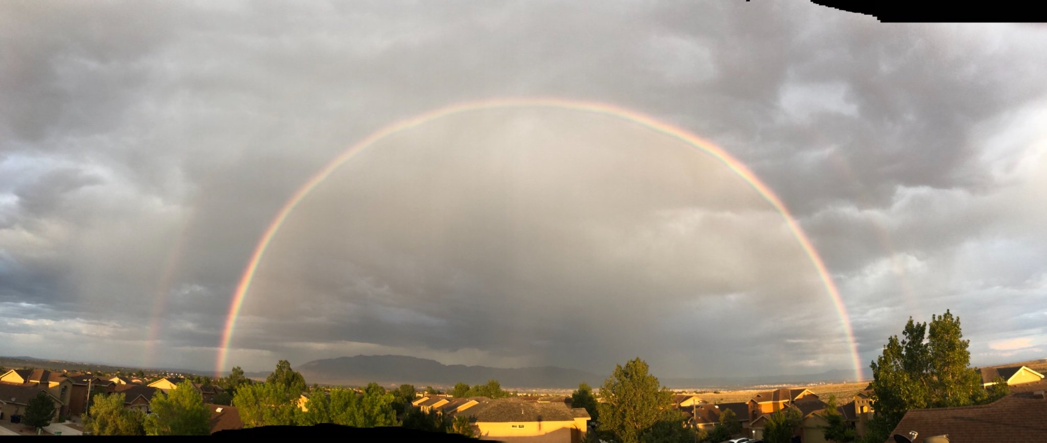 Evan Vasilion banner