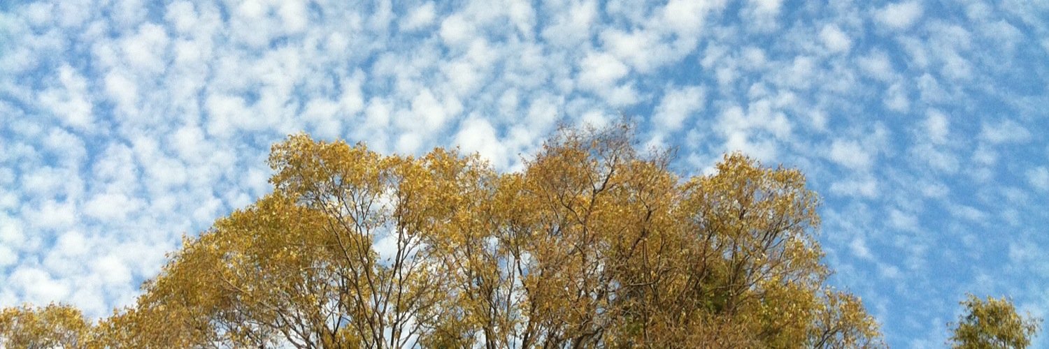 bebz_gen's profile banner image