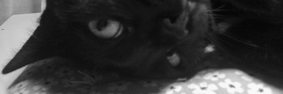 evahertzberg's profile banner image