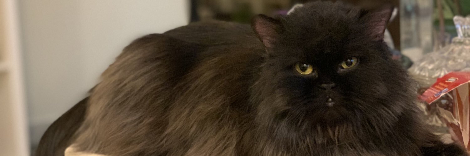 💍فهد الغامدي - Dabbor banner