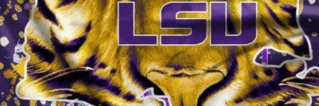 Tigers banner